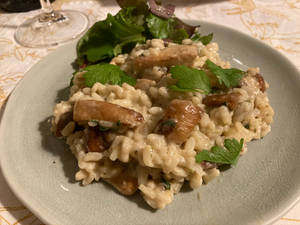 Risotto Mushroom Parsley Wallpaper