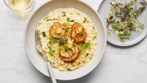 Risotto Scallops White Wallpaper