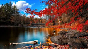 Riverside In Autumn Wallpaper