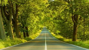 Road 3d Nature Wallpaper