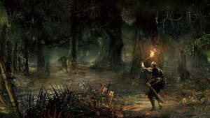 Road Of Sacrifices Dark Souls 3 Wallpaper