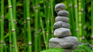 Rock Cairns On Green Bamboo Wallpaper