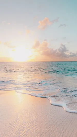 Rock The Trendy Summer Look With A New Iphone Wallpaper