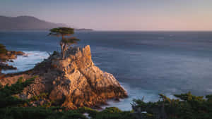 Rocks Lone Cypress Beach California Wallpaper