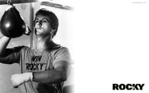 Rocky Balboa Boxing Training Wallpaper