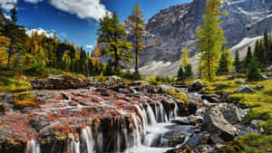 Rocky Mountains National Park Vacation Wallpaper