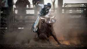 Rodeo Bull Riding Wallpaper