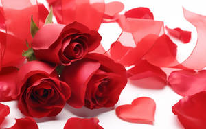 Romantic Rose Petals And Ribbon Wallpaper