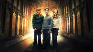 Ron Weasley With Harry And Hermione Wallpaper