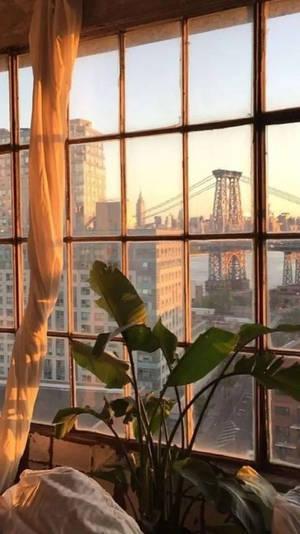 Room Cool Vibes Wallpaper