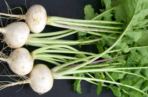 Root Plant Turnips Wallpaper