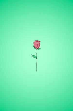 Rose Aesthetic Sketches Wallpaper