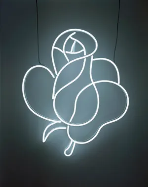 Rose Line Art White Neon Aesthetic Wallpaper