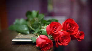 Rose On Table Laptop Wallpaper
