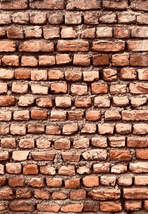 Rough Sun Baked Bricks Wallpaper