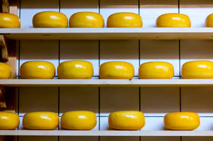 Round Yellow Cheese On Shelf Wallpaper