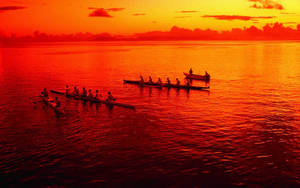Rowing Crew In Sunset Wallpaper