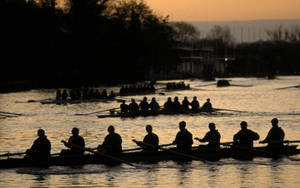 Rowing Crews Silhouette Sunset Wallpaper