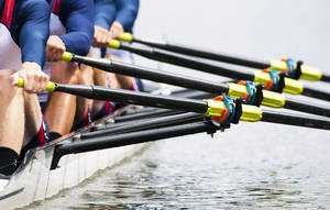 Rowing Oars Equipment Wallpaper
