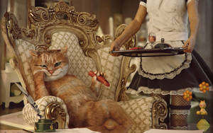 Royal Cat Funny Awesome Animal Wallpaper