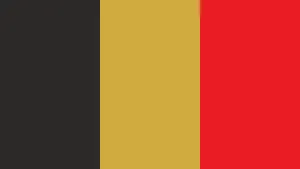 Royal Challengers Bangalore Color Scheme Wallpaper