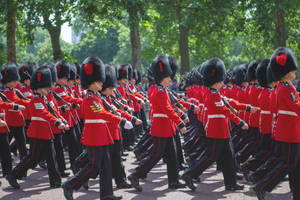 Royal Guards March England Wallpaper