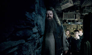 Rubeus Hagrid And Students Wallpaper