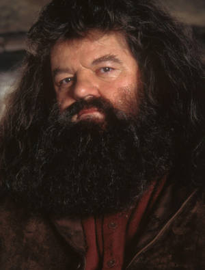 Rubeus Hagrid Close-up Shot Wallpaper