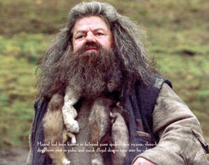 Rubeus Hagrid With Description Wallpaper