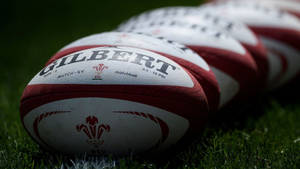 Rugby Union Ball Wallpaper
