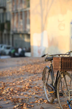 Rustic Bike [wallpaper] Wallpaper