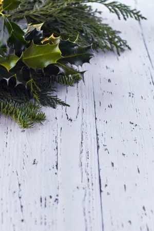 Rustic Christmas Leaves Wallpaper
