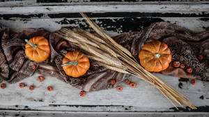 Rustic Fall Pumpkin With Wheat Straws Wallpaper