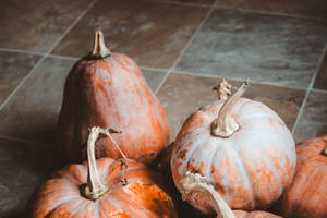 Rustic Fall Pumpkins On The Floor Wallpaper