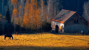 Rustic Fall Scenery With Barn Wallpaper