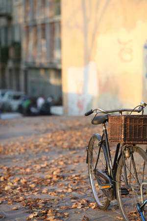 Rustic Fall Vintage Bike Wallpaper