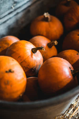 Rustic Pumpkins [wallpaper] Wallpaper