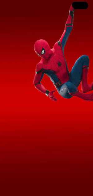 S10+ Amazing Spiderman Wallpaper