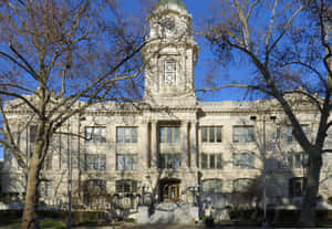 Sacramento City Hall Blocked By Trees Wallpaper