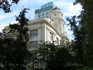 Sacramento City Hall Many Trees Wallpaper