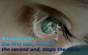 Sad Friendship Quotes Wallpaper