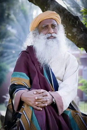 Sadhguru Sitting By A Tree Wallpaper