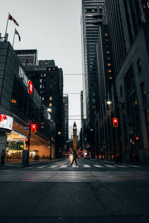 Safely Navigating A Crossing In The City Wallpaper