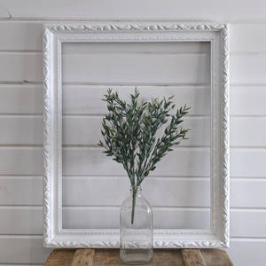 Sage Green Plant With White Border Wallpaper