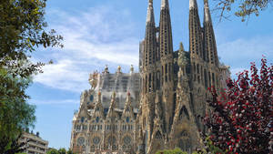 Sagrada Familia Red Tree Wallpaper