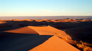 Sahara Desert Africa 4k Wallpaper