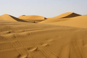 Sahara Desert Main Attraction Wallpaper