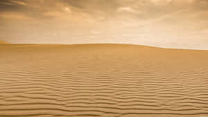 Sahara Desert Sand Horizon Wallpaper