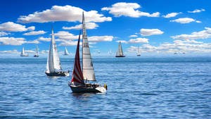 Sailing Competitive Boats Wallpaper
