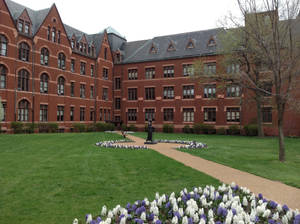 Saint Louis University Campus Landscape Wallpaper